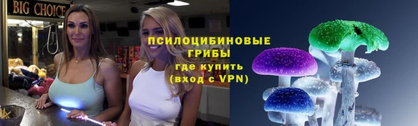 СК Надым
