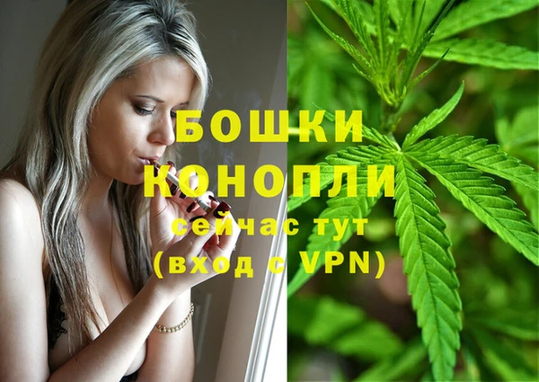 СК Надым