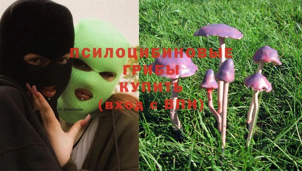 a pvp Наволоки