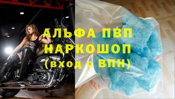 СК Надым