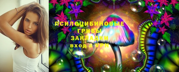 СК Надым