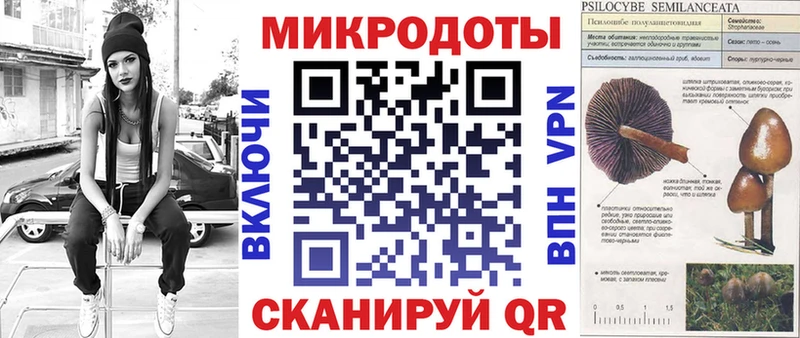Купить закладки  Приволжский  Галлюциногенные грибы ЛСД 